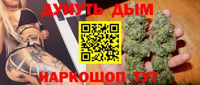 гидра Заводоуковск