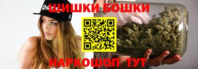 гидра Заводоуковск