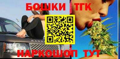 гидра Заводоуковск