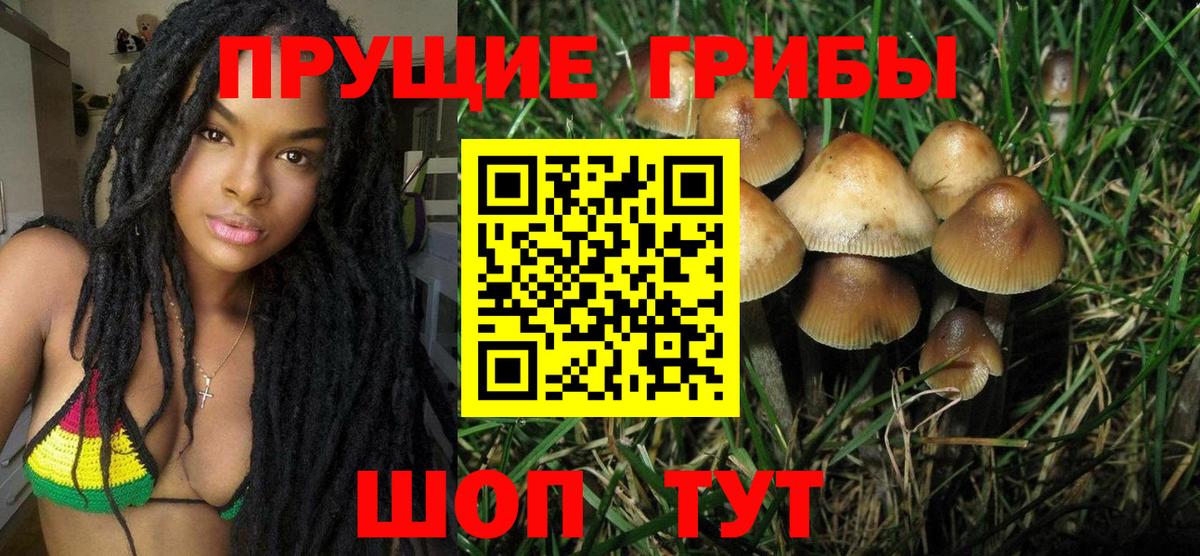 Красный Сулин  Псилоцибиновые грибы мухоморы  Вход с VPN  Псилоцибиновые грибы Psilocybe 