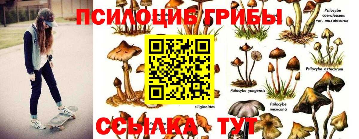 Галлюциногенные грибы мицелий Красный Сулин
